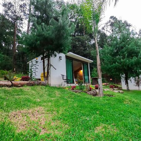 Romanticas Cabanas En Bosque Acaxochitlan Luaran gambar