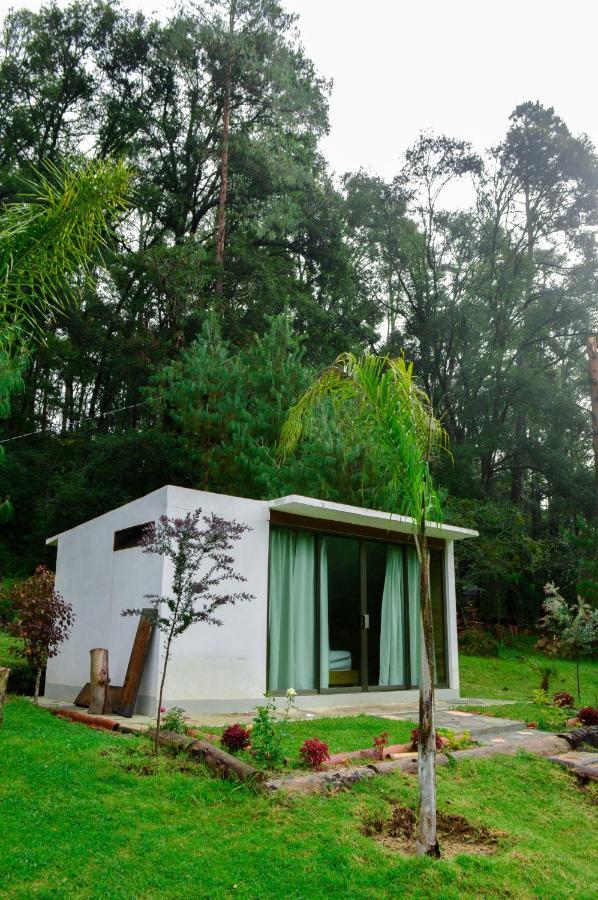 Romanticas Cabanas En Bosque Acaxochitlan Luaran gambar