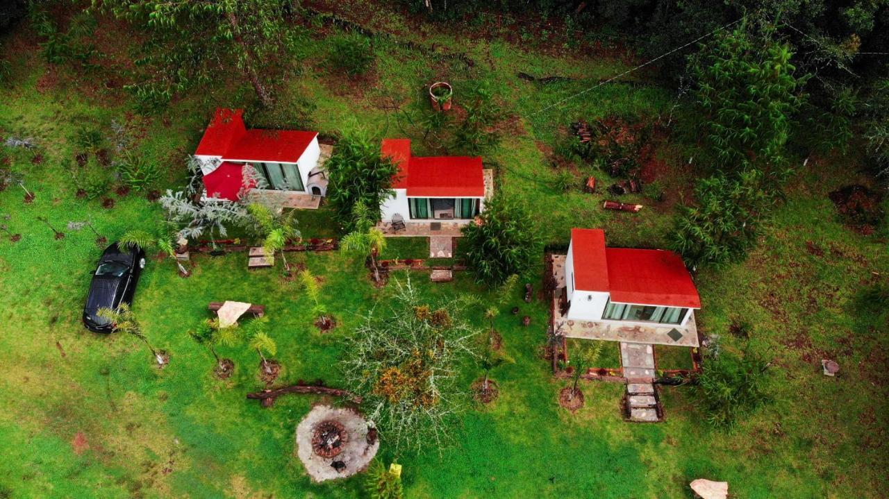 Romanticas Cabanas En Bosque Acaxochitlan Luaran gambar