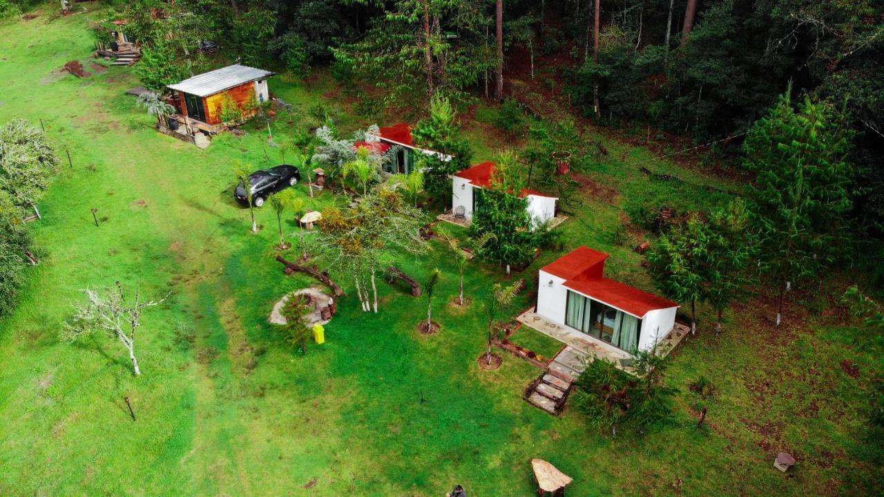 Romanticas Cabanas En Bosque Acaxochitlan Luaran gambar